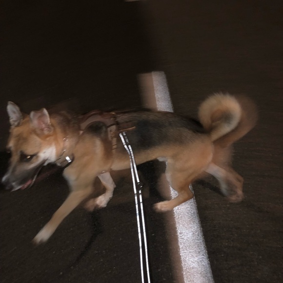 Meet your Posher, Sarah - Picture 2 of 2